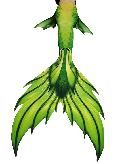 Aquamarine Mermaid Tail