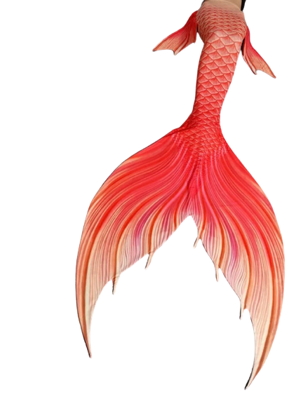 Sirena Barbie Mermaid Tail