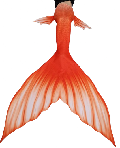 Aqua Girl Mermaid Tail