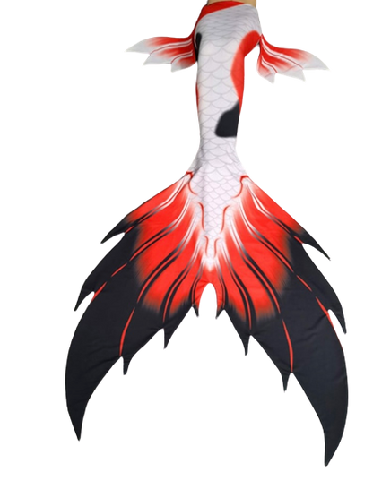 Koi Fish Tail