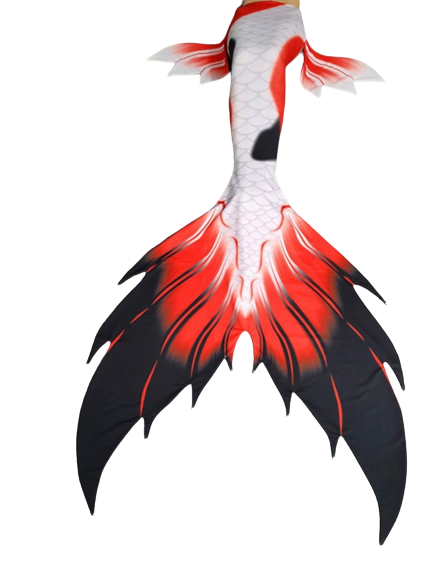 Koi Fish Tail