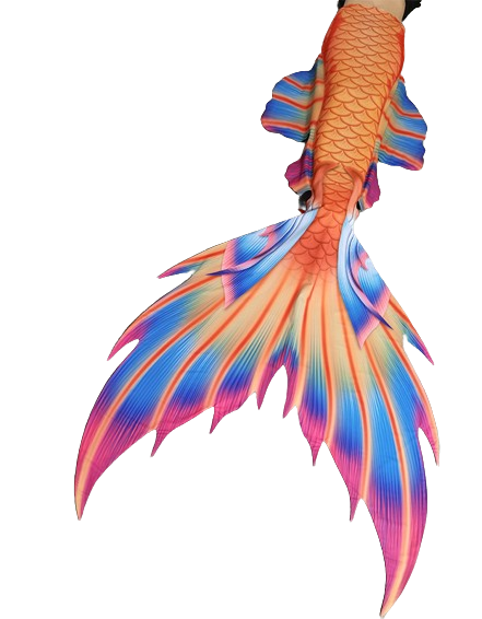 Lyricora Mermaid Tail