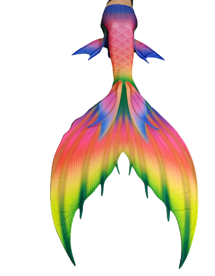 Rainbow Hawaii Mermaid Tail