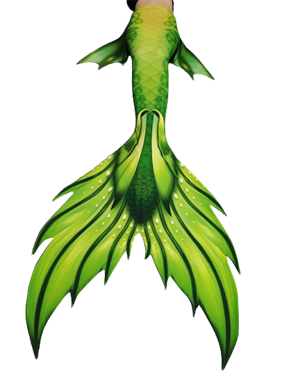 Aquamarine Mermaid Tail