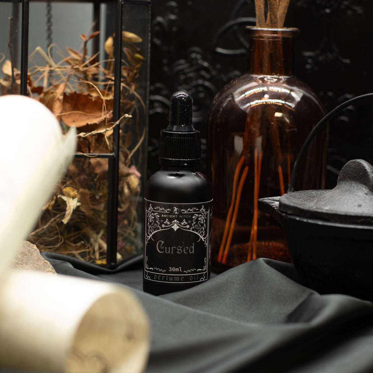 🔮 Sea Witch Ultimate Gift Box